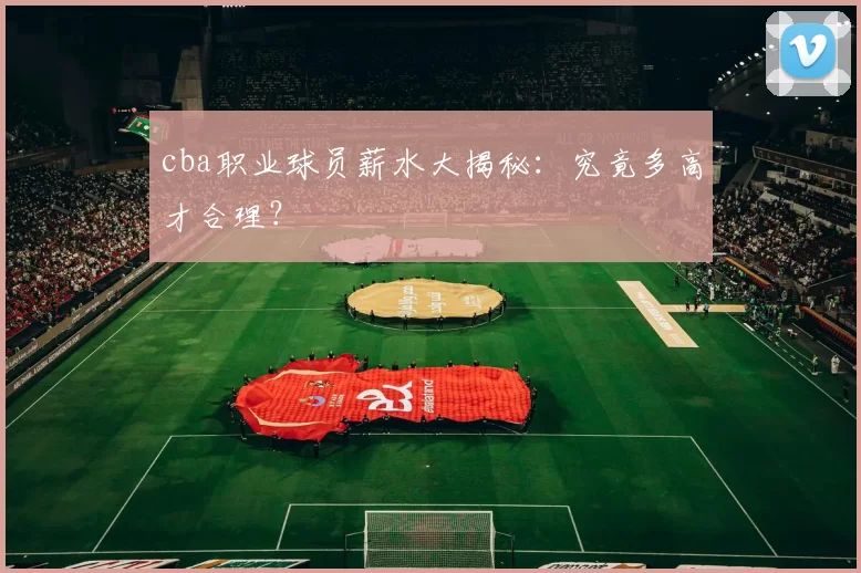 cba职业球员薪水大揭秘：究竟多高才合理？