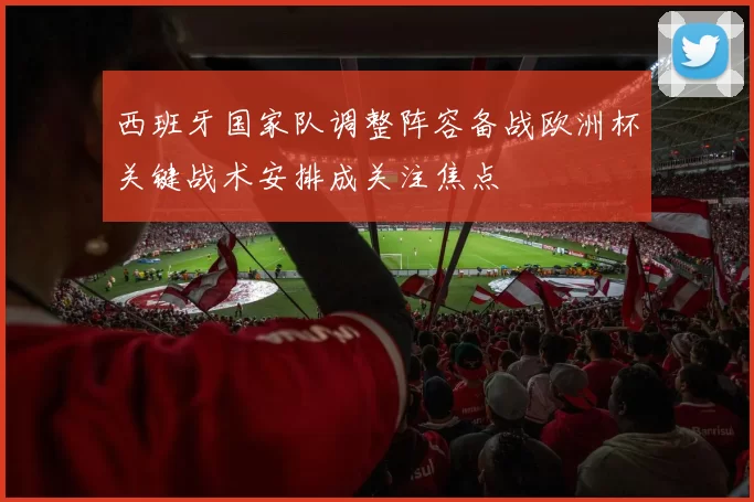 西班牙国家队调整阵容备战欧洲杯关键战术安排成关注焦点