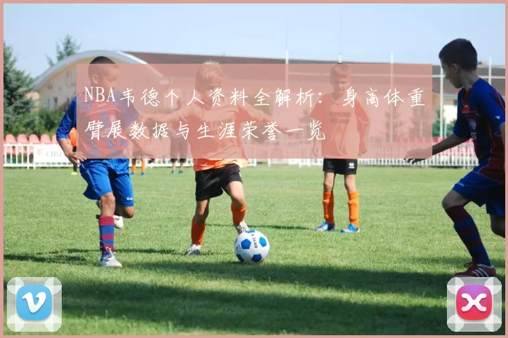 NBA韦德个人资料全解析:身高体重臂展数据与生涯荣誉一览