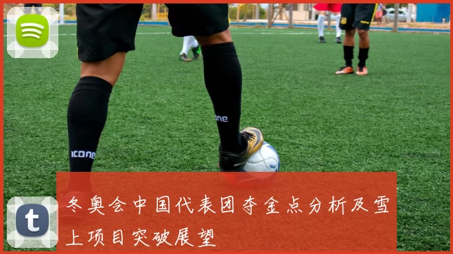 冬奥会中国代表团夺金点分析及雪上项目突破展望