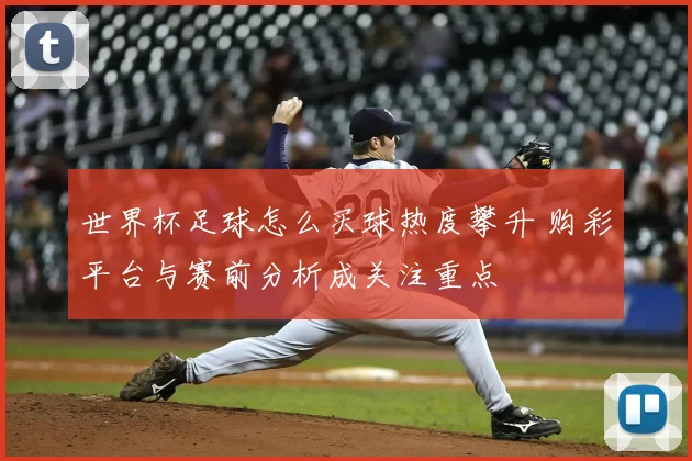 世界杯足球怎么买球热度攀升 购彩平台与赛前分析成关注重点